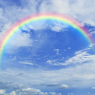 理事・監事・評議員